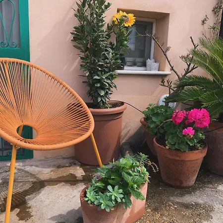 Merli E Merletti - - Monolocale Luminoso E Indipendente Nel Cuore Di Offida
